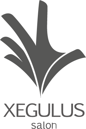 XEGULUS salon